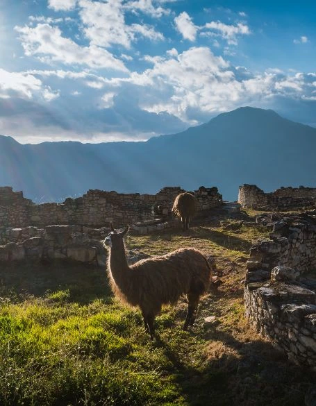 Kuelap - Chachapoyas.