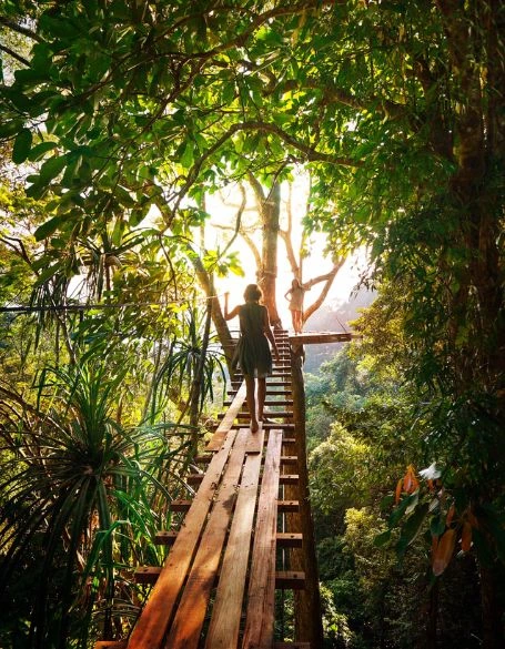 Miradores y Canopies-min