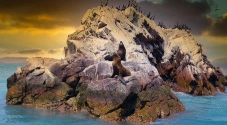 Perú Esencial Del Pacífico a las Cumbres