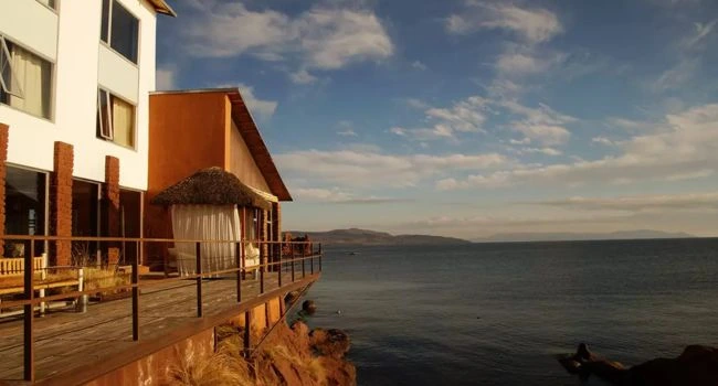 Coleccionistas Ultra Nicho-min Coleccionistas Ultra Nicho