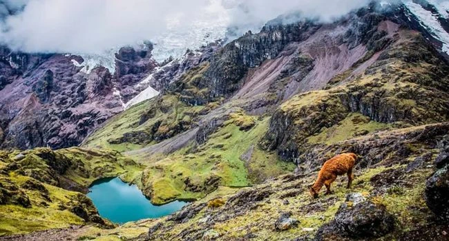 Viajeros Solos-min Viajeros Solos