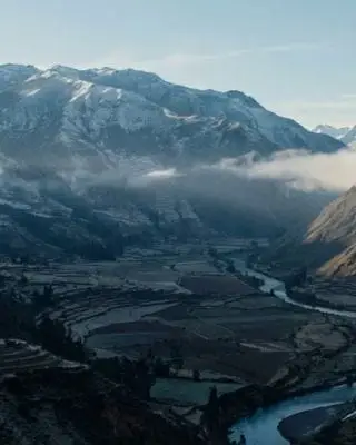 Perú,  del silencio a lo vivo